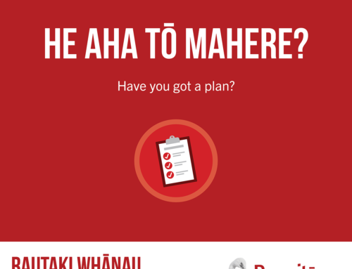 He aha tō mahere?  |  Have you got a plan?